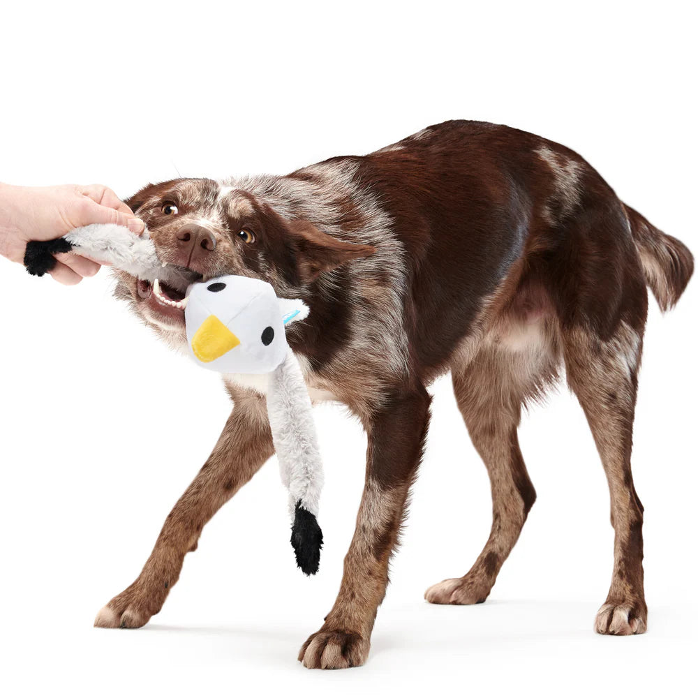 BARK Sully The Gully