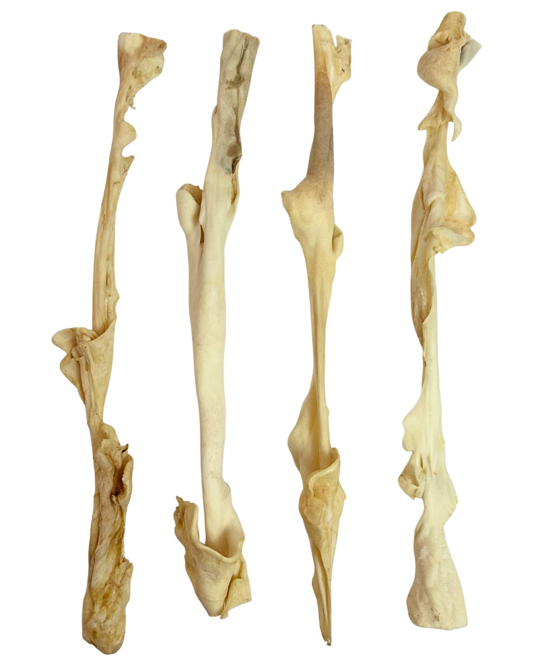 Lamb Skin Sticks (40–50cm) – Long-Lasting, High-Protein & Joint-Supporting
