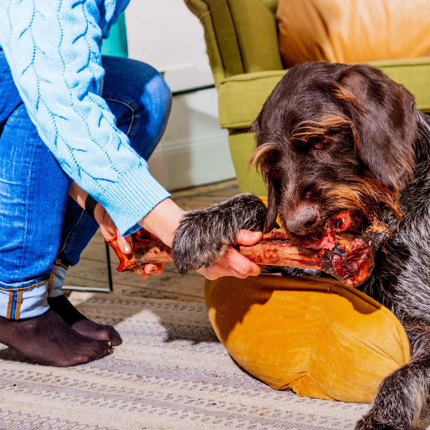 Ostrich Long Bone - Exotic, Lean & Naturally Hypoallergenic