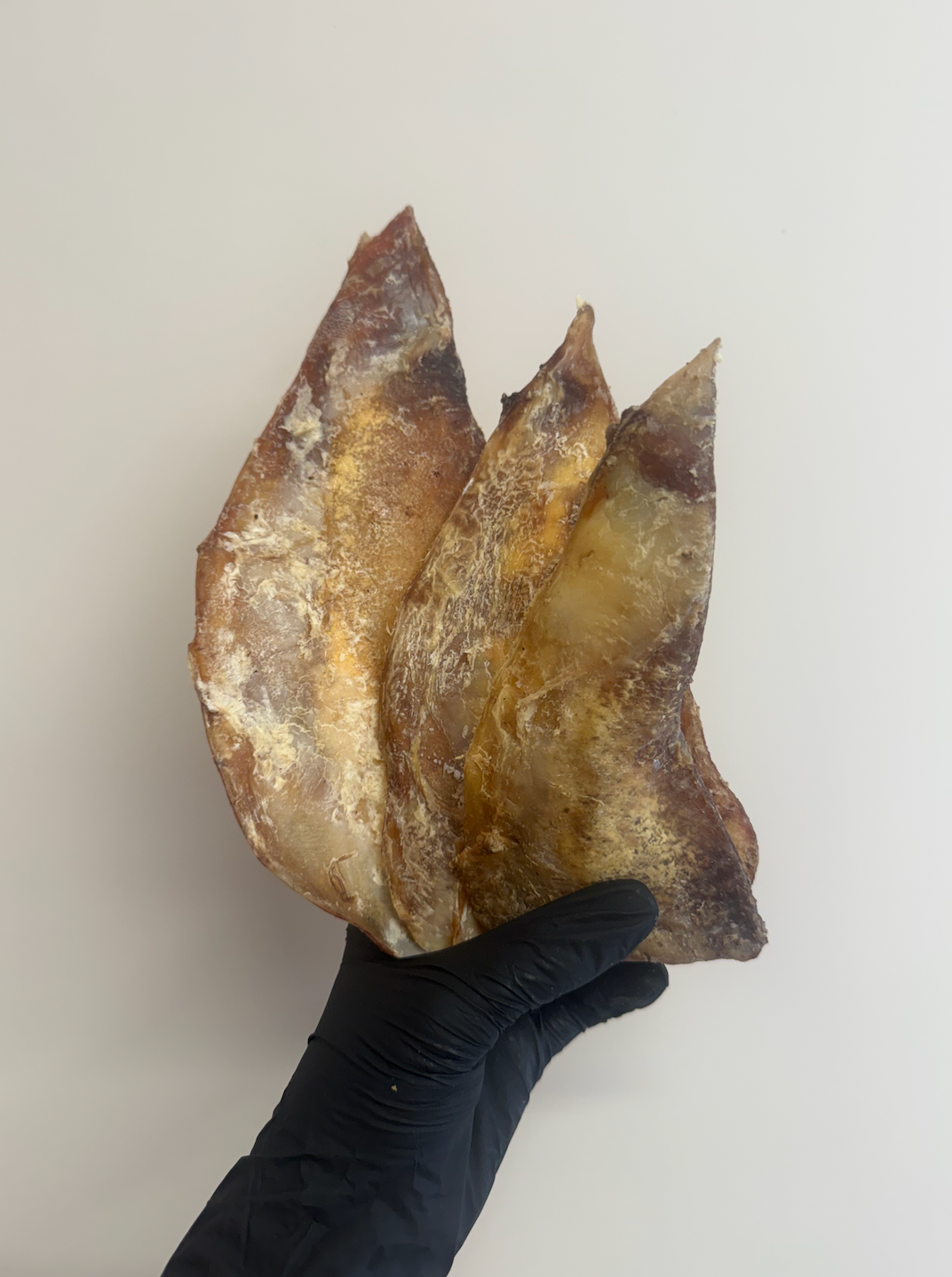 Small Beef Moon Bone - Little But Mighty & Not Actual Bone