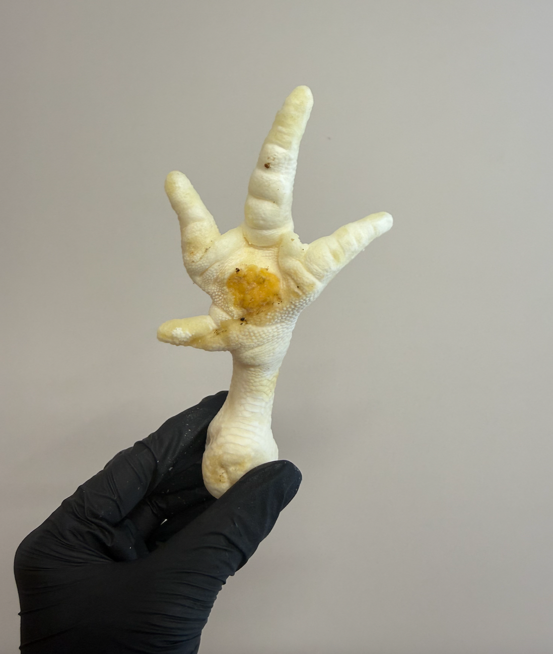 Puffed Chicken Feet – Crunchy & Airy Chews
