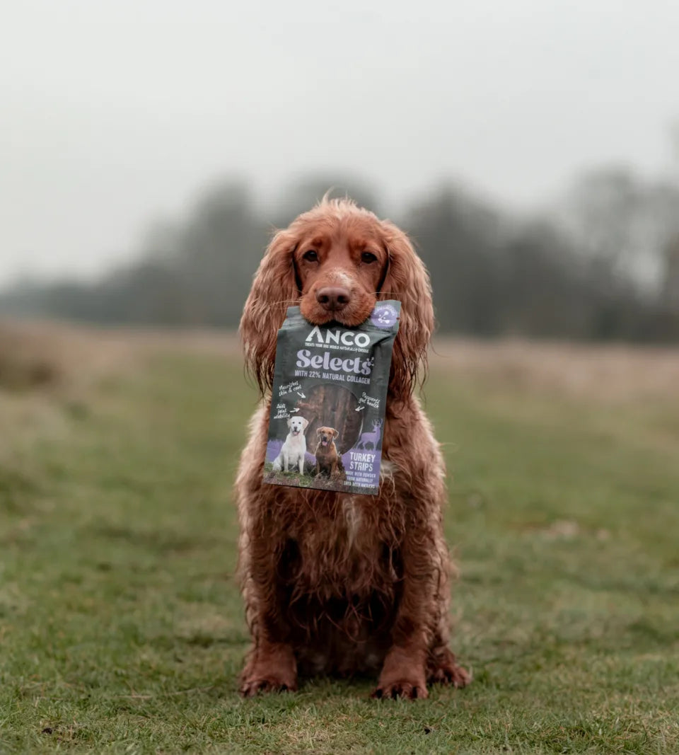 Anco Selects Turkey Strips with Collagen