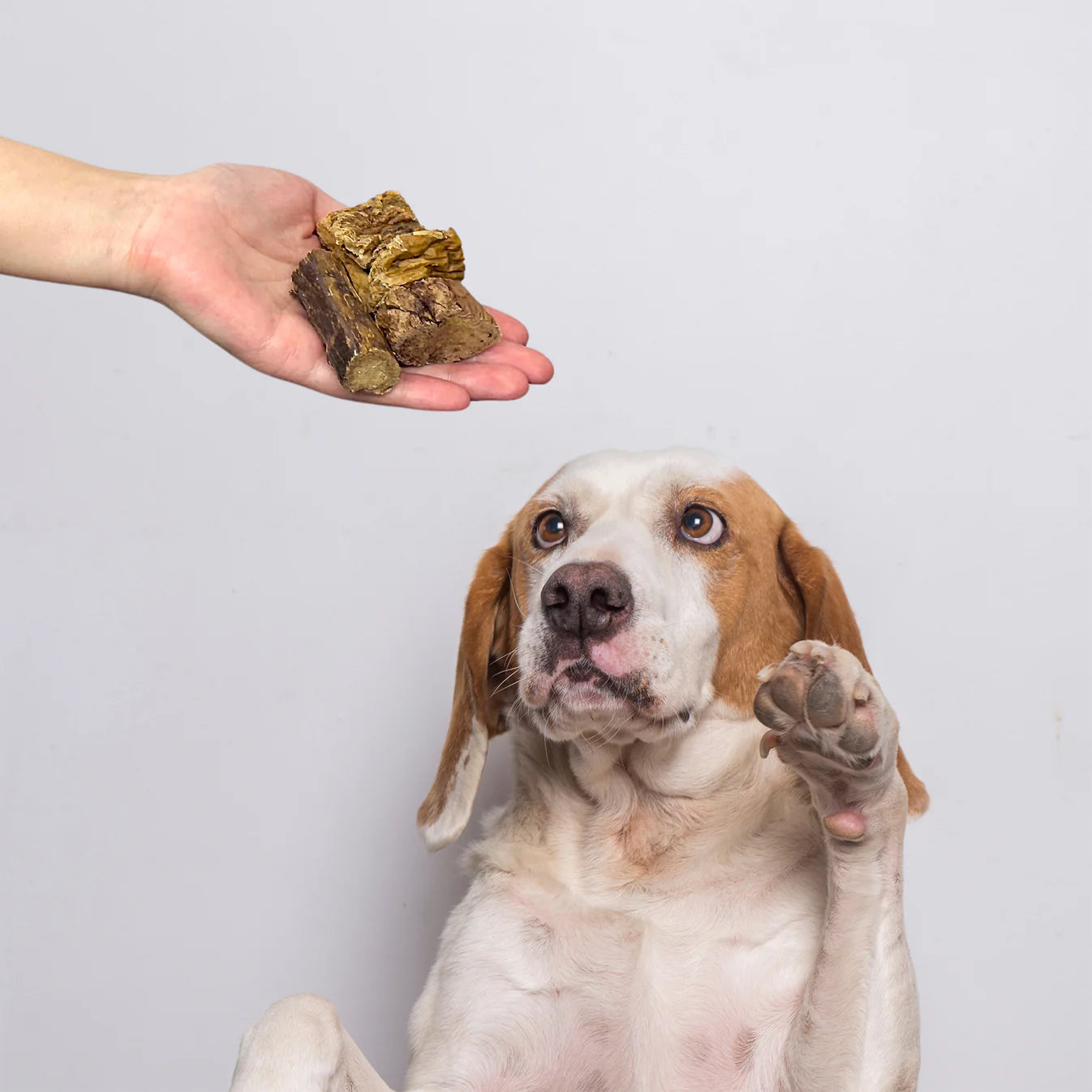 Puffed Beef Lung Cubes – Light, Soft & Low Fat Treats Your Dog Will Love