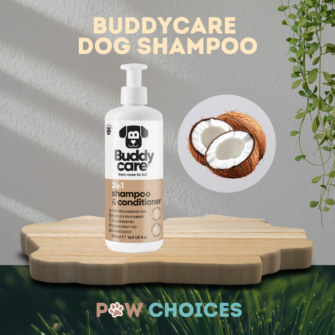 Buddycare 2-in-1 Dog Shampoo and Conditioner | 500 ml | Paw Choices