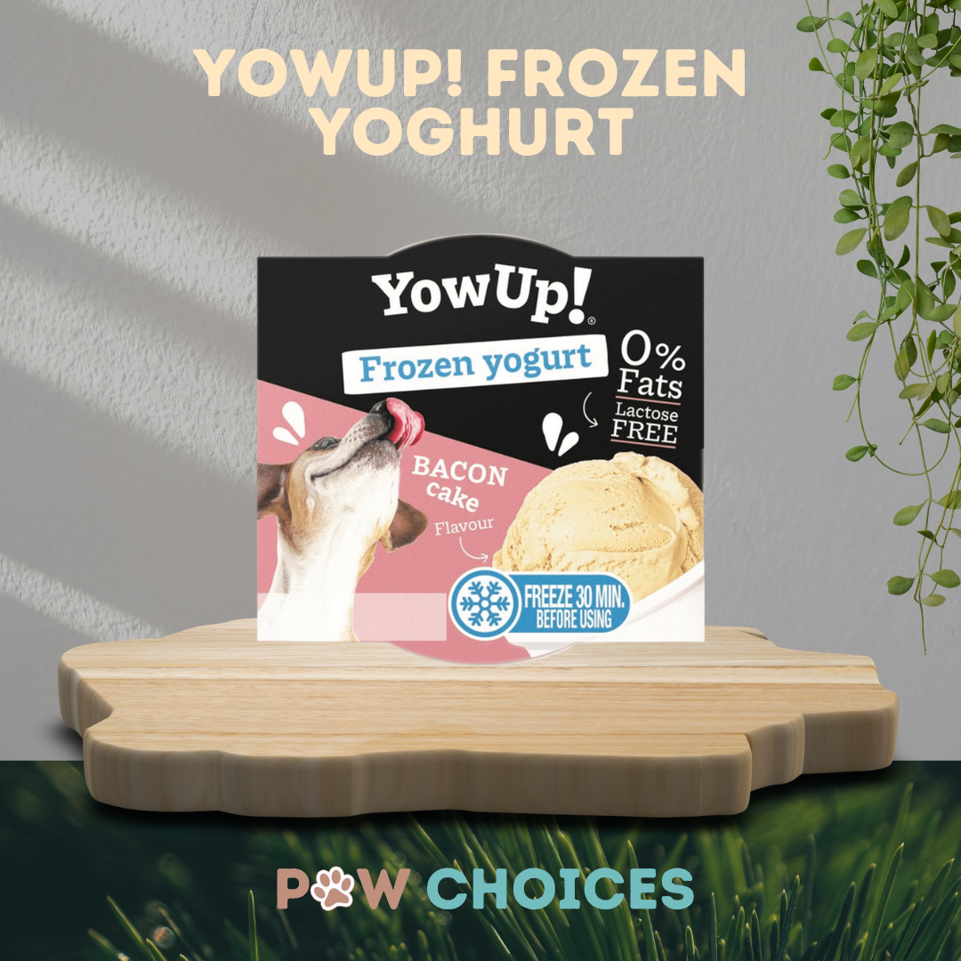 YowUp! Frozen Yogurt β 110g | Bacon Cake Flavour | Cooling Treat for Dogs & Cats | Paw Choices