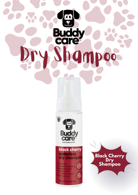 🐾🍒 Buddycare Black Cherry Waterless Dry Dog Shampoo | 250 ml | Paw Choices