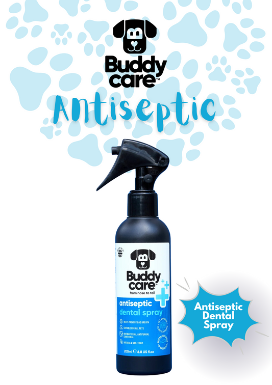 Buddy Care Antiseptic Dental Spray bottle with blue and white design on a light gray background