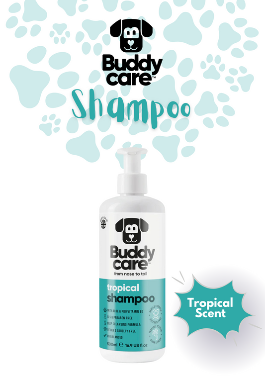 🏝️ Buddycare Tropical Dog Shampoo –  | 500 ml | Paw Choices