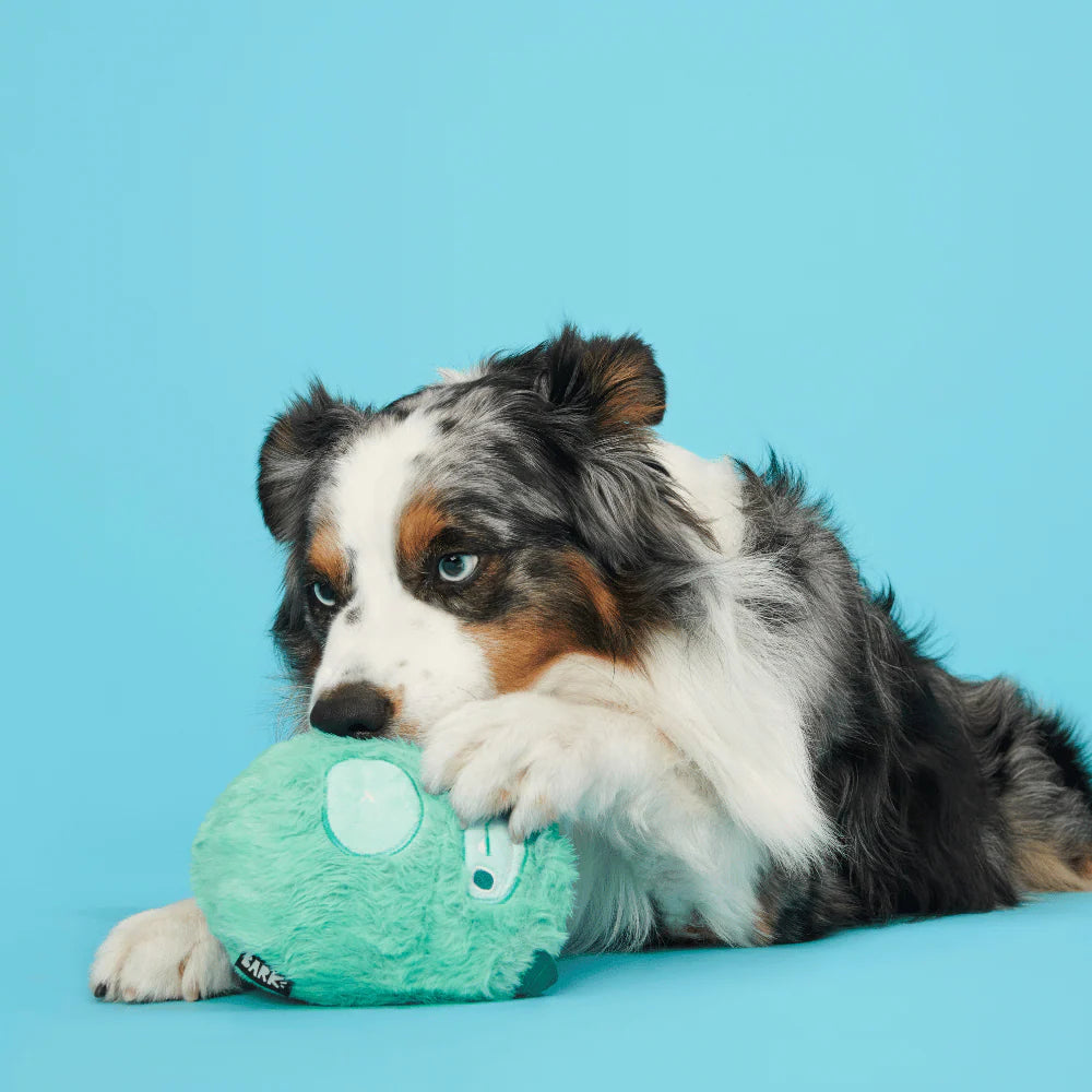 BARK Aurora Beast Dog Toy - Hidden Toy Inside