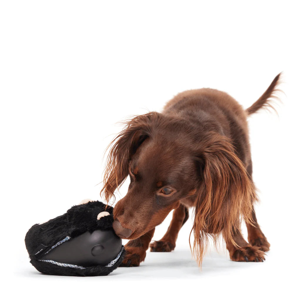 BARK Black Bear Bones Dog Toy - Hidden Toy Inside