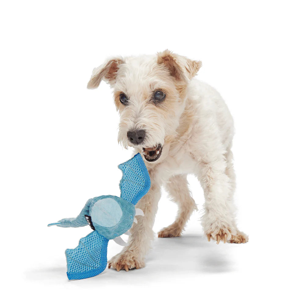 BARK Brrrtha The Dragon Dog Toy - Hidden Toy Inside