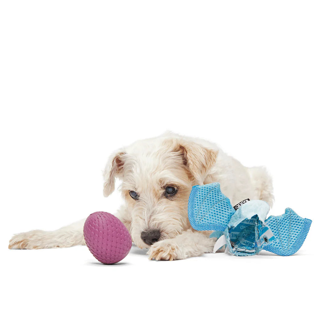 BARK Brrrtha The Dragon Dog Toy - Hidden Toy Inside