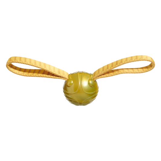 BARK Harry Potter The Golden Snitch