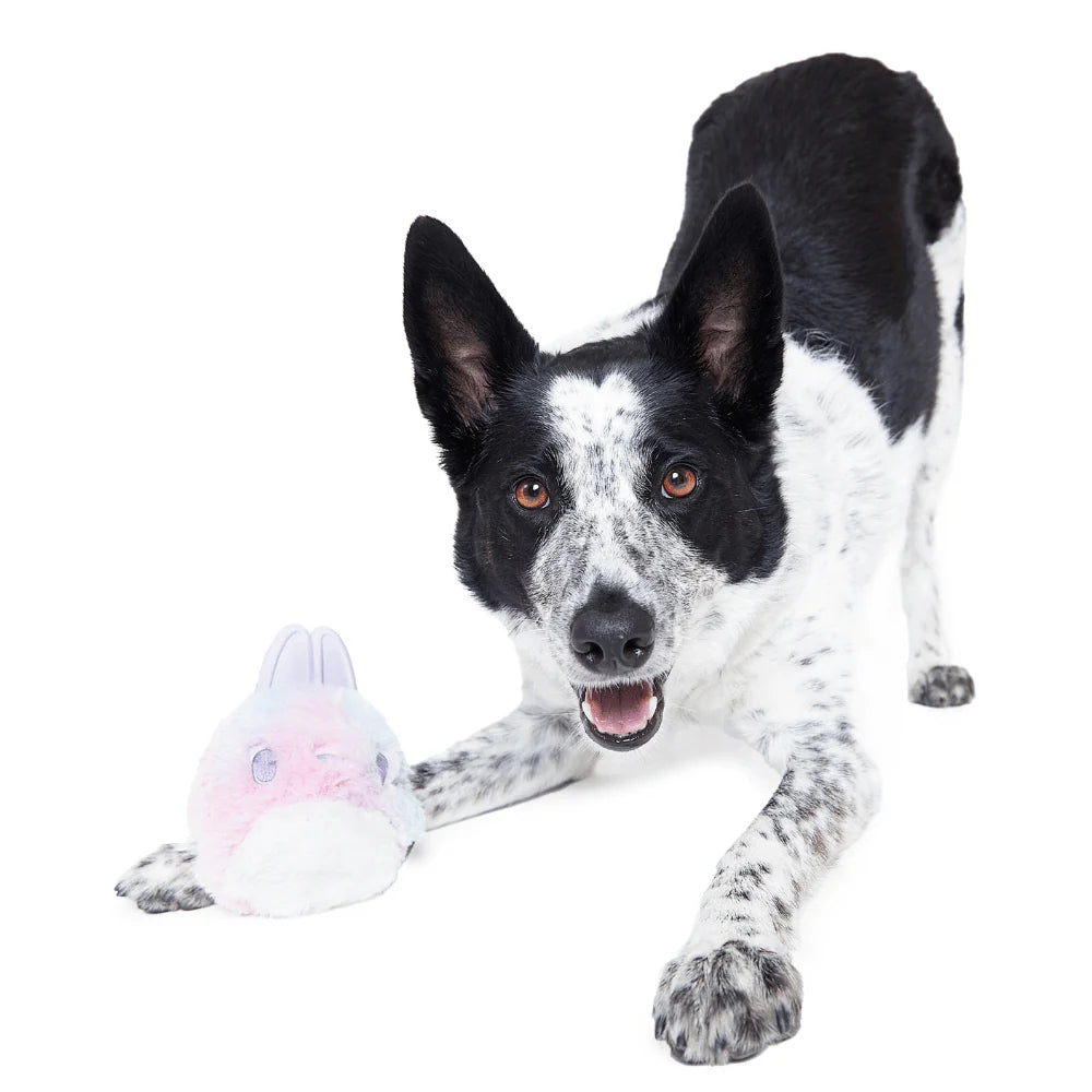BARK Hippie Hopper Dog Toy