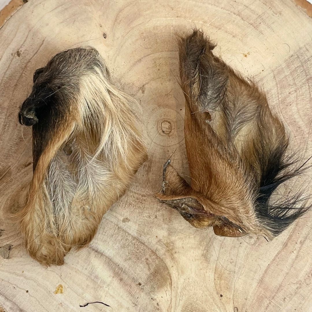 Hairy Cow Ears – Chewy Treat With Natural Digestive Support