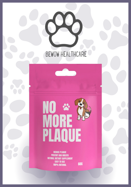 BeWow Healthcare - No More Plaque – Natural Seaweed Powder for Dogs | 60g | Paw Choices