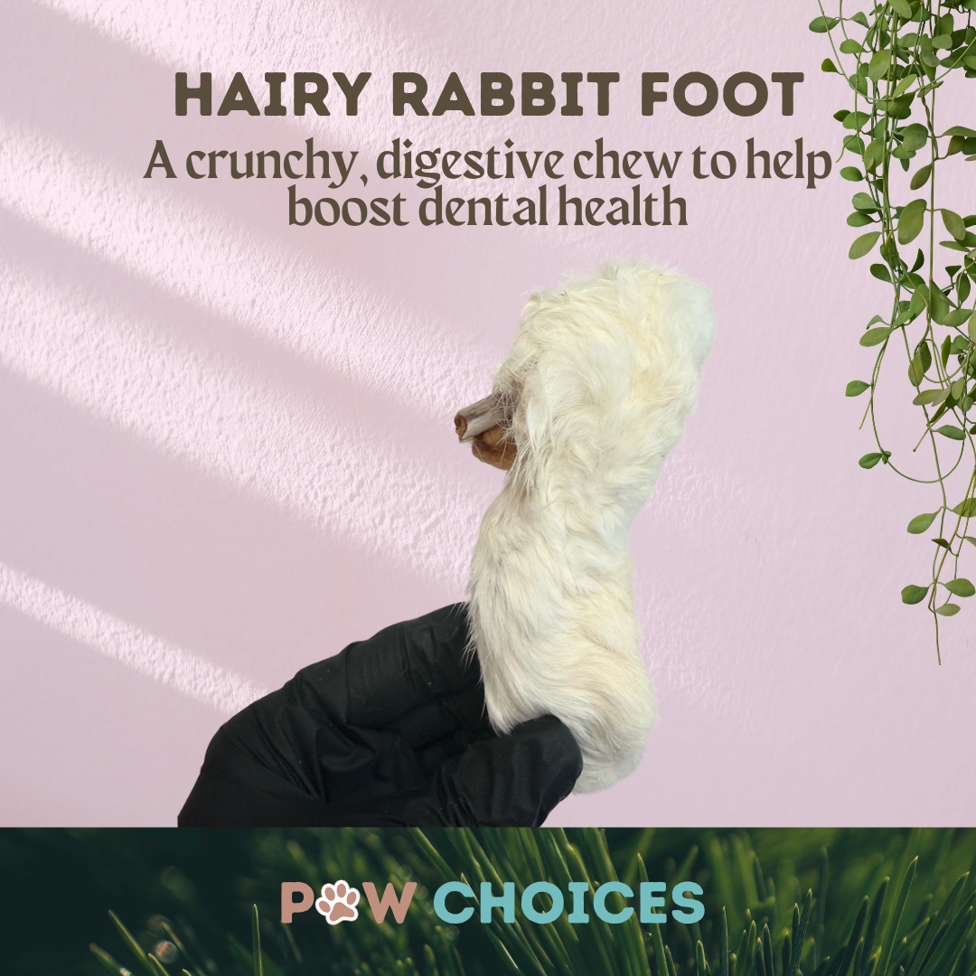 Hairy Rabbit Feet – Chewy, Nutritious & Enriching
