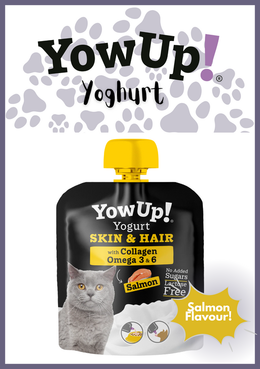 Yowup! Functional Cat Yoghurt – 115g | Salmon Flavour