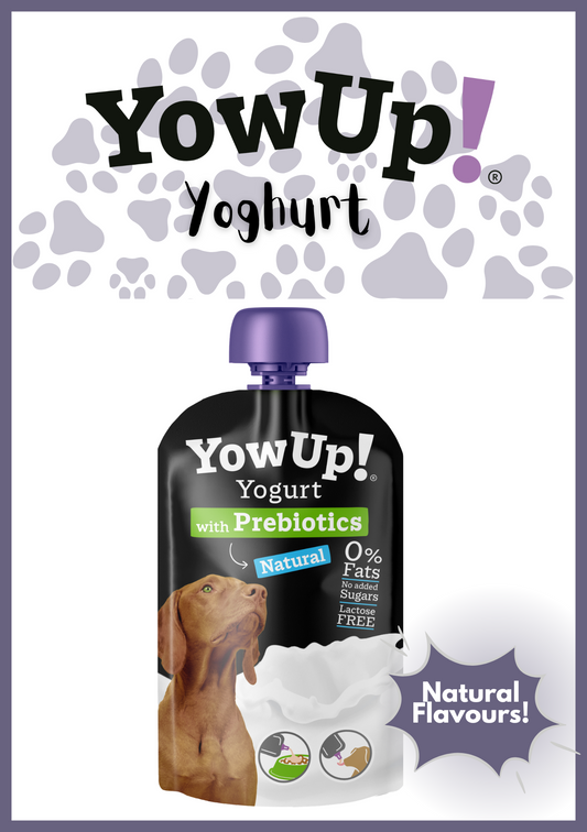 Yowup! Articular Dog Yoghurt (115g) - Natural Flavour