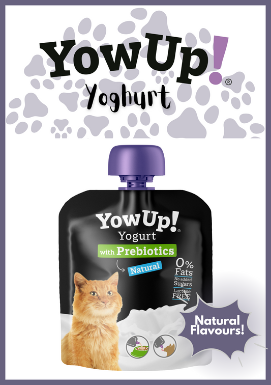 Yowup! Functional Cat Yoghurt – 115g | Natural Flavour