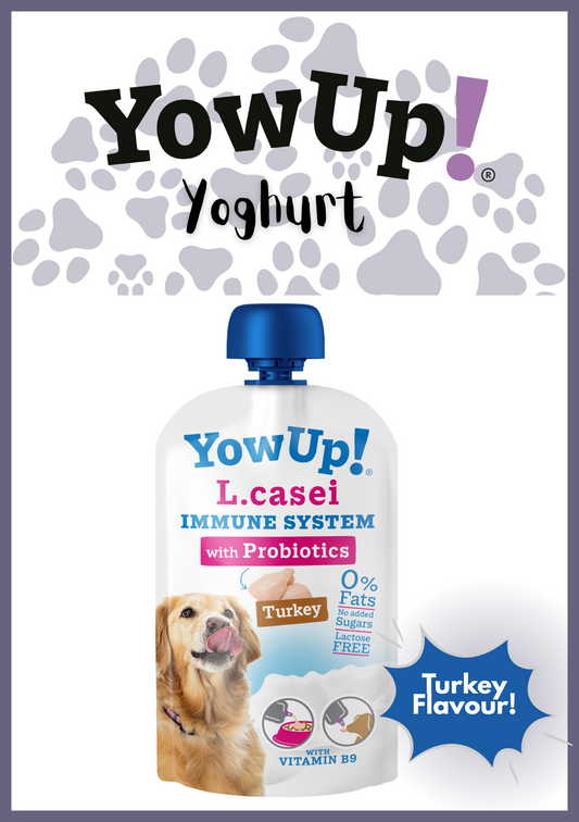 Yowup! Articular Dog Yoghurt (115g) - Turkey Flavour