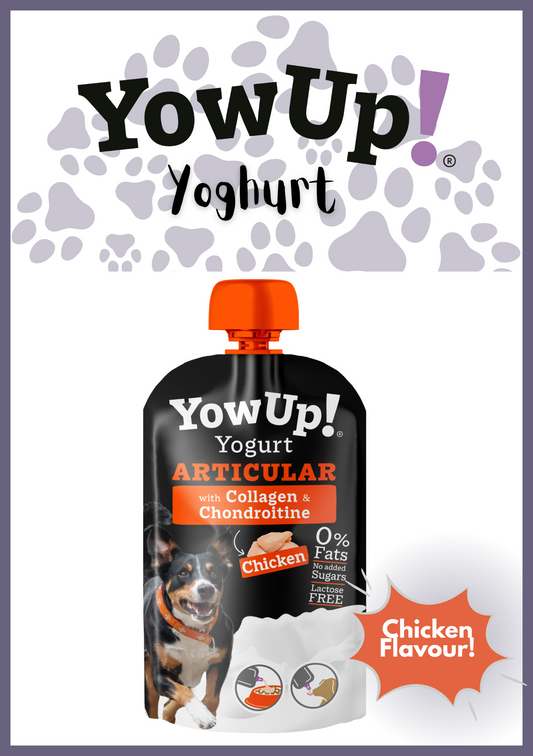 Yowup! Articular Dog Yoghurt (115g) - Chicken Flavour
