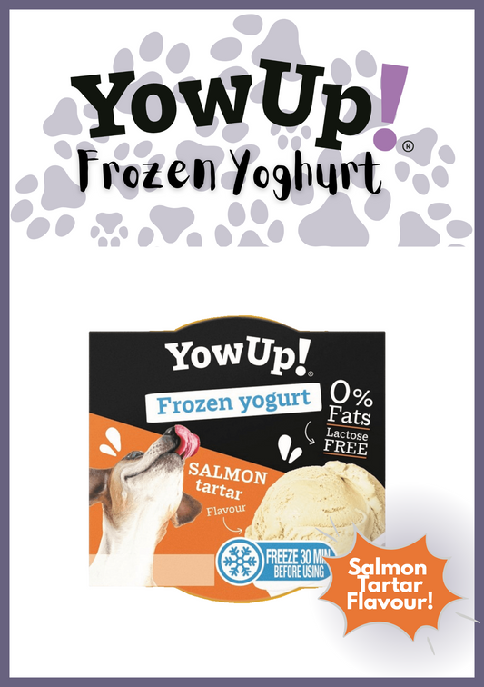 Yowup! Articular Dog Frozen Yoghurt (110g) - Salmon Tartar Flavour