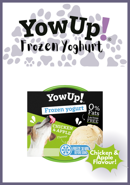 Yowup! Articular Dog Frozen Yoghurt (110g) - Chicken & Apple Flavour