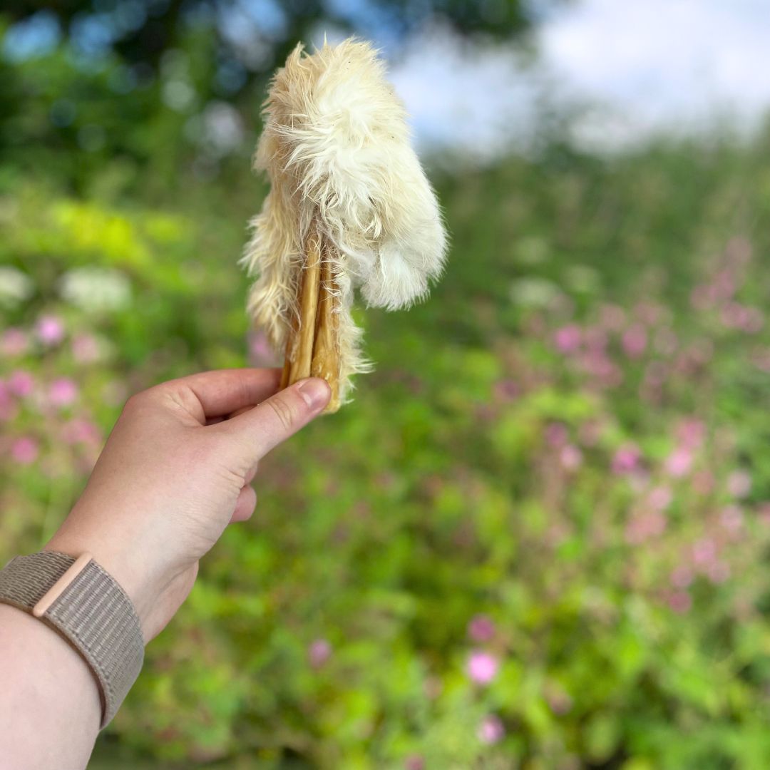 Hairy Rabbit Skin – Natural, Chewy & Digestive-Supporting