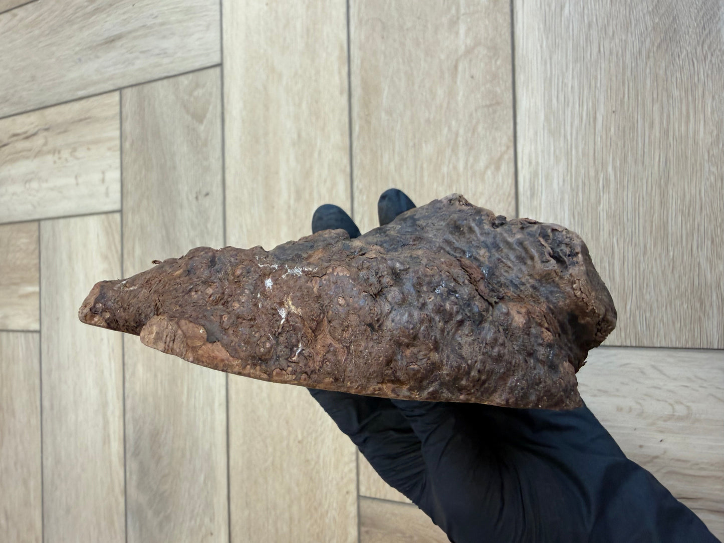 Small Heather Root - A Durable, Non Splintering Natural Chew for Little Doggos