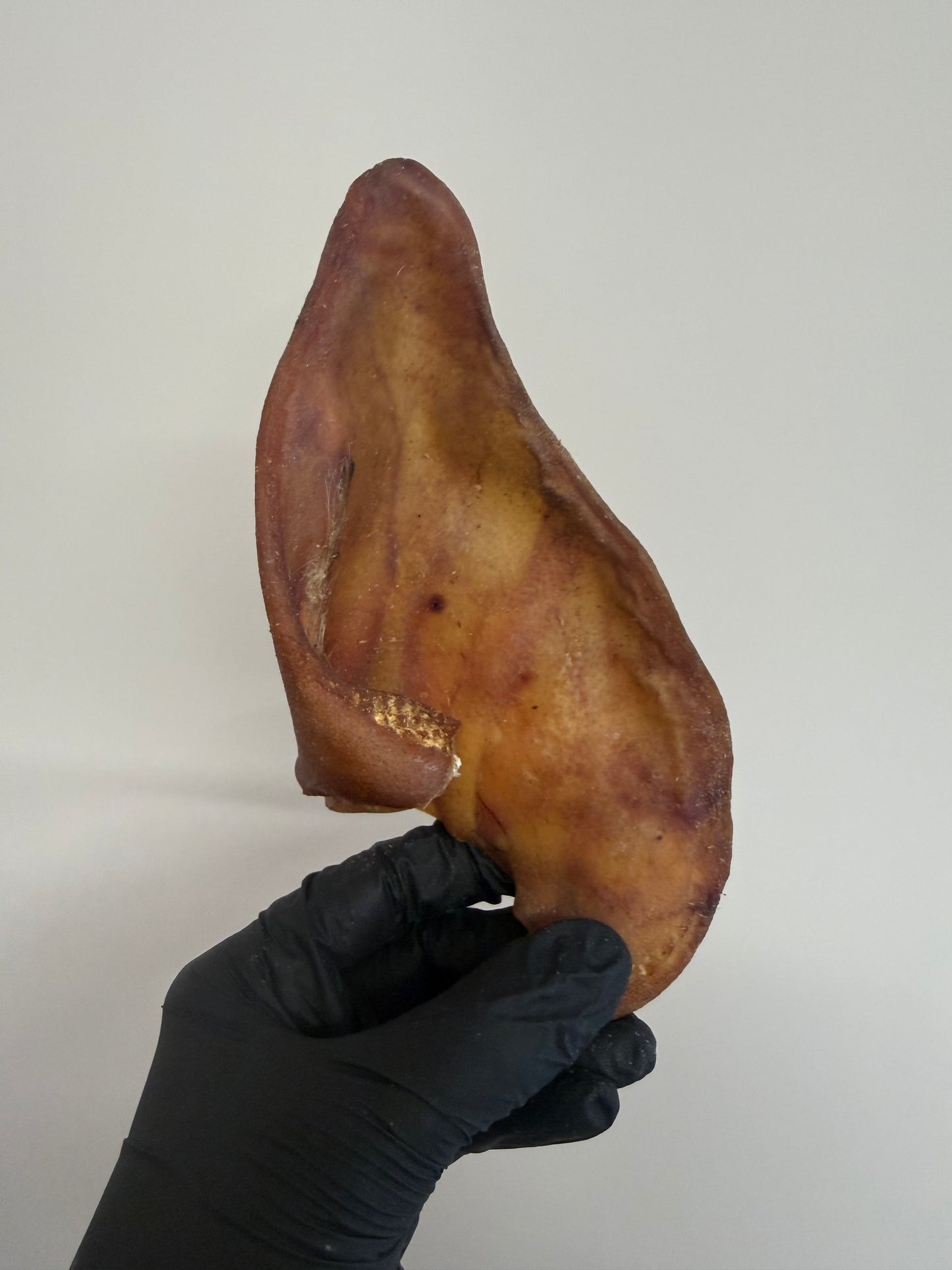 Grade A Pig's Ears - A Classic Natural Chew That Never Get's Old