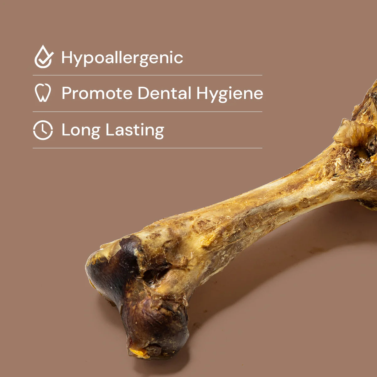 Ostrich Dino Bone - Giant, Hypoallergenic & Long-Lasting
