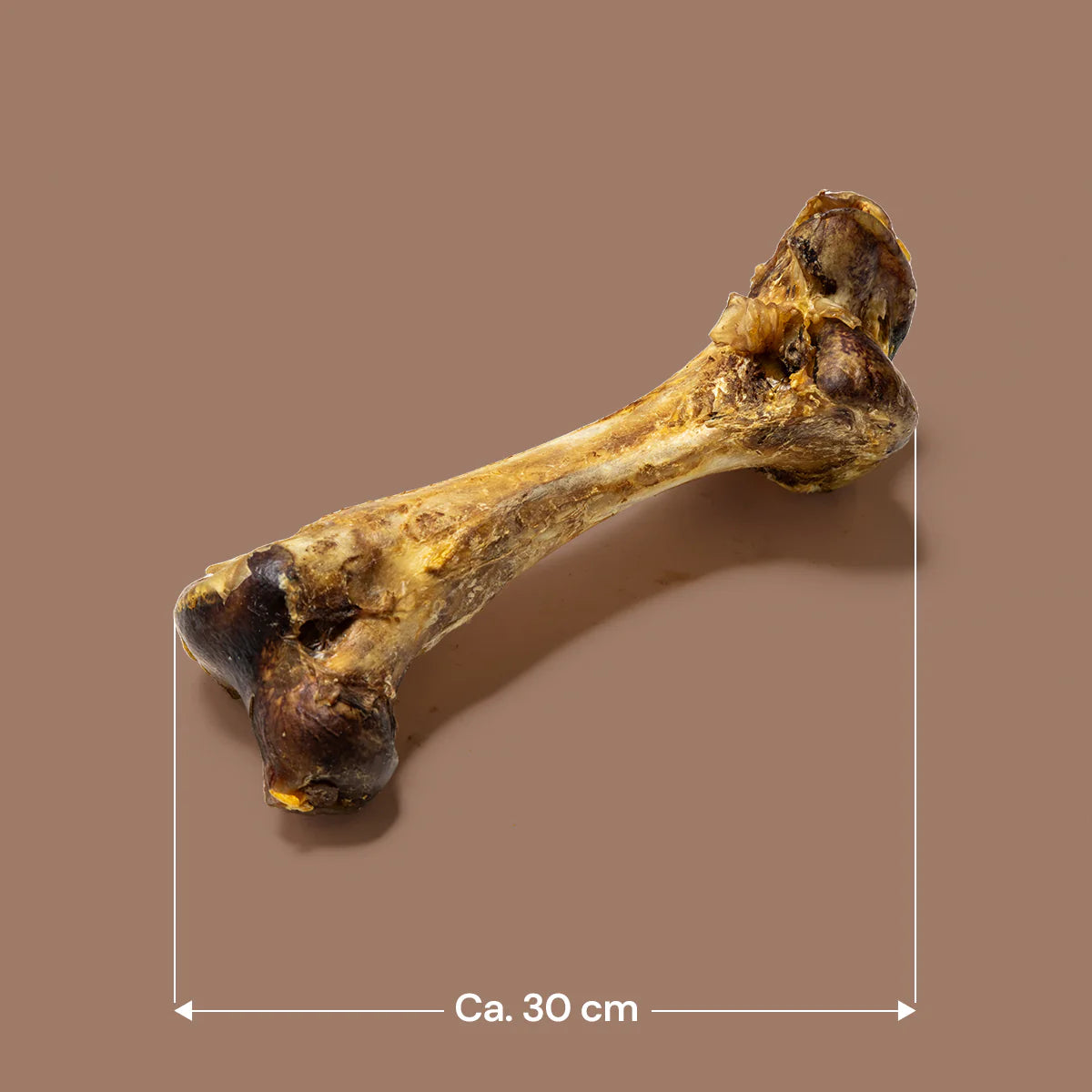 Ostrich Dino Bone - Giant, Hypoallergenic & Long-Lasting