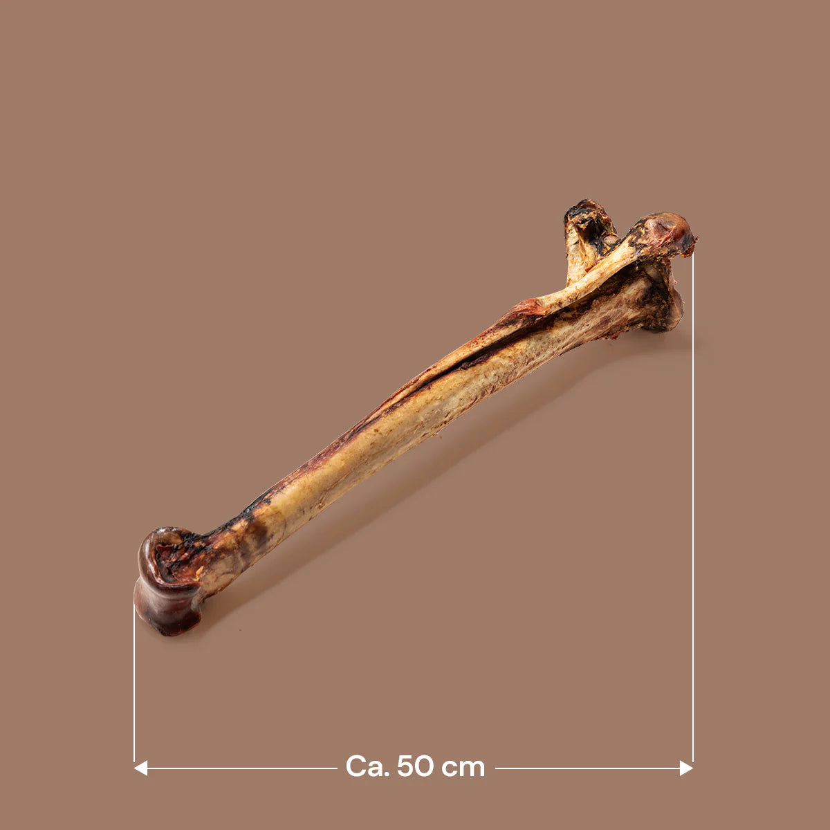 Ostrich Long Bone - Exotic, Lean & Naturally Hypoallergenic