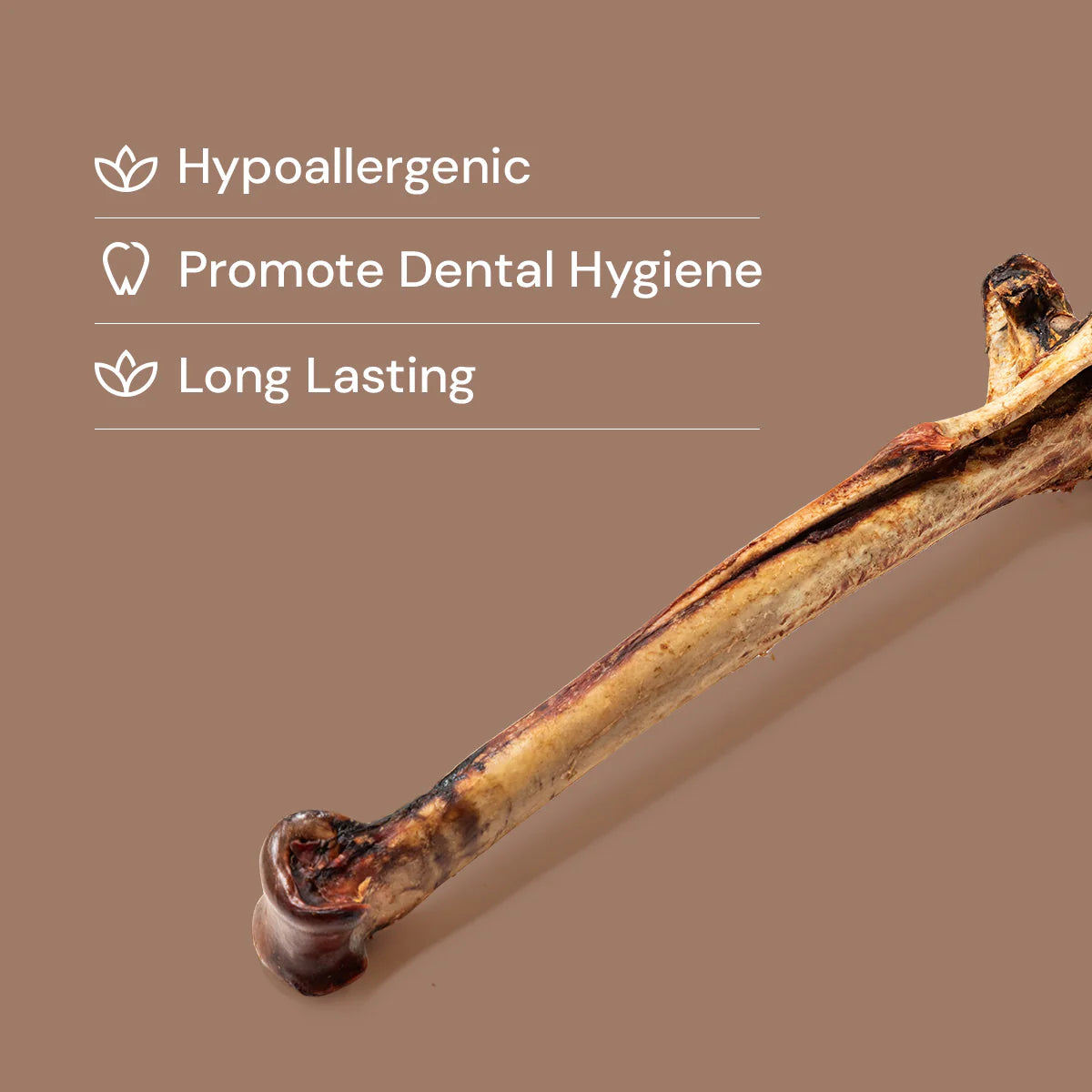Ostrich Long Bone - Exotic, Lean & Naturally Hypoallergenic