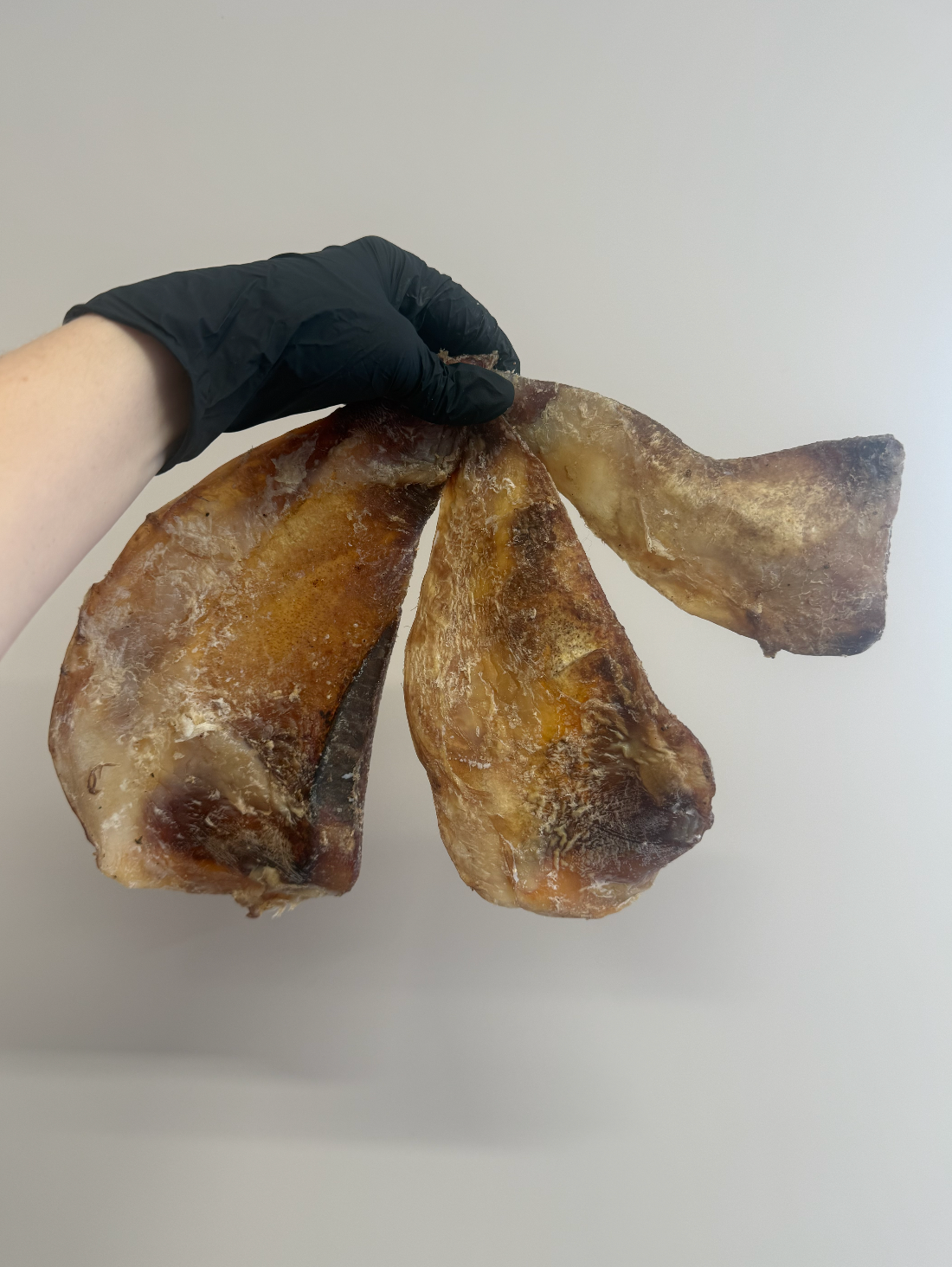 Medium Beef Moon Bone - Tough, Mighty & Not Actual Bone