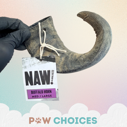 NAW Buffalo Horn - Medium/Large