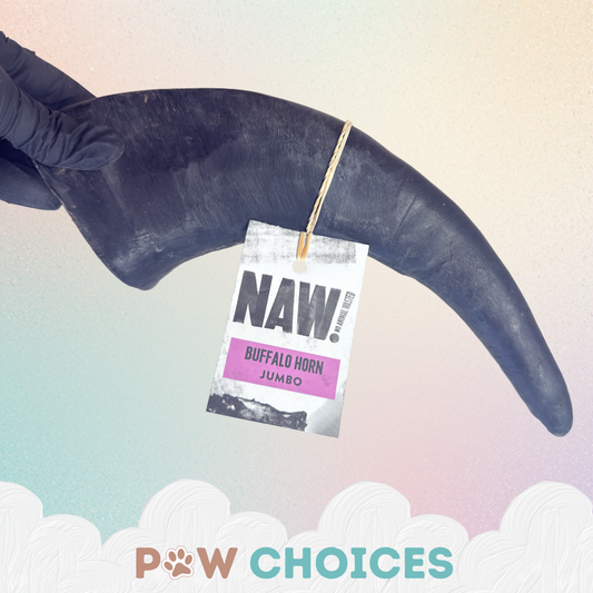 2 x NAW Buffalo Horn - Jumbo