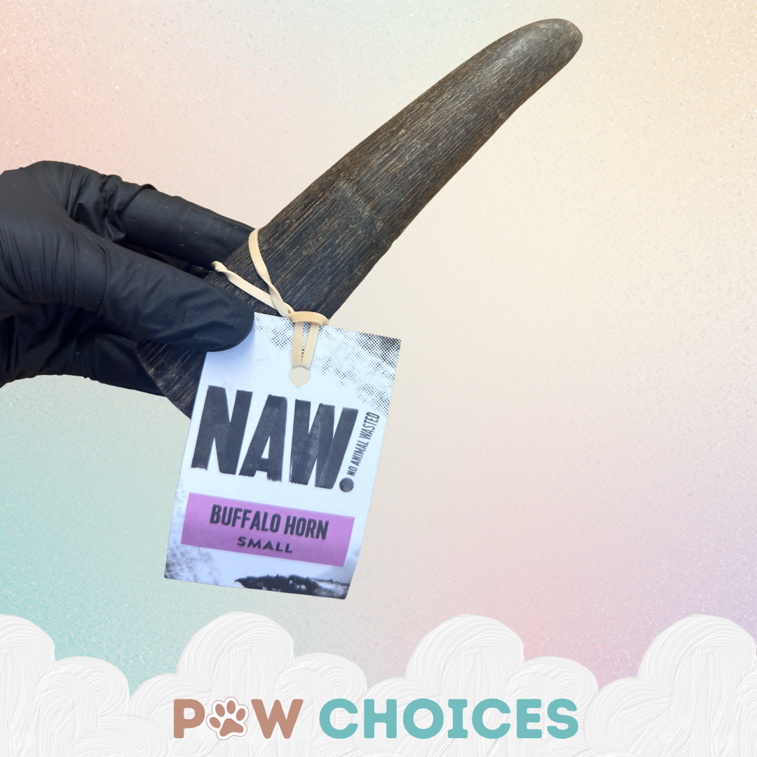 2 x NAW Buffalo Horn - Small