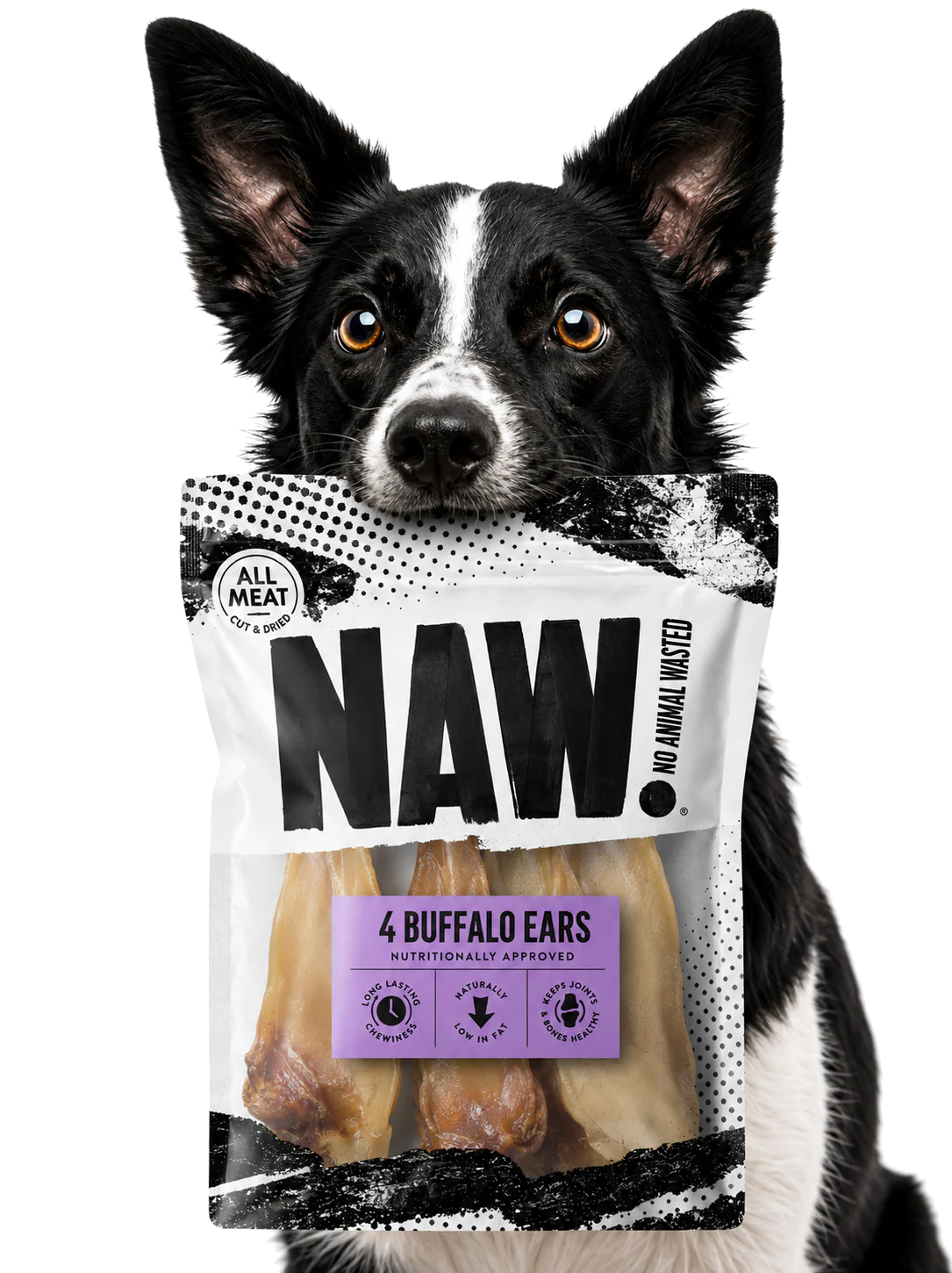 NAW Buffalo Ears