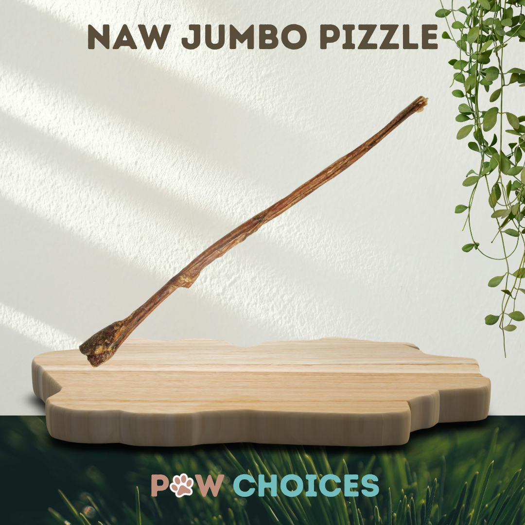 NAW Jumbo Buffalo Pizzle (55-60cm)
