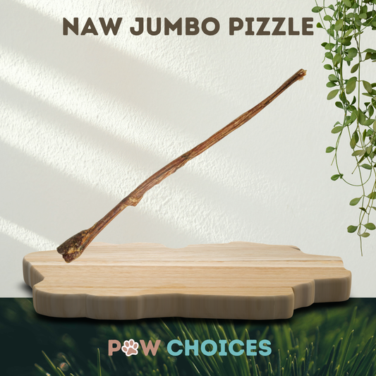 NAW Jumbo Buffalo Pizzle (55-60cm)