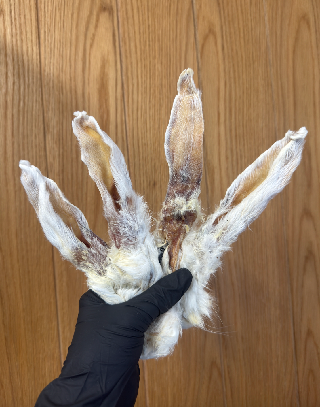 Hairy Rabbit Ears – Chewy, Natural & Enriching