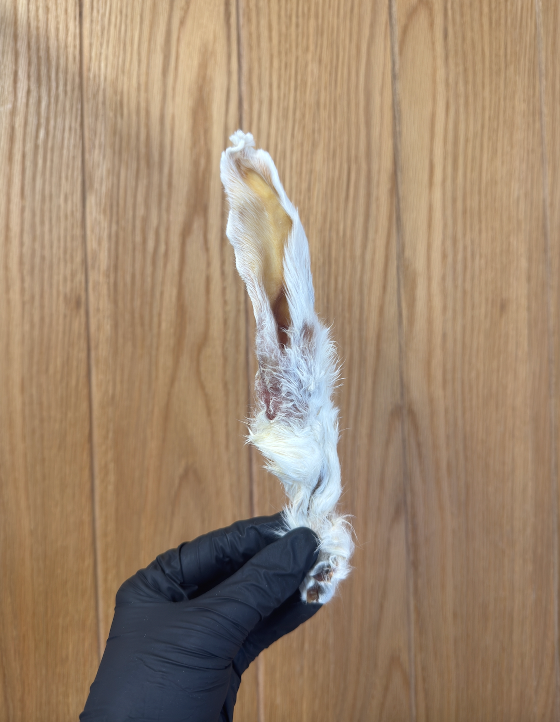 Hairy Rabbit Ears – Chewy, Natural & Enriching