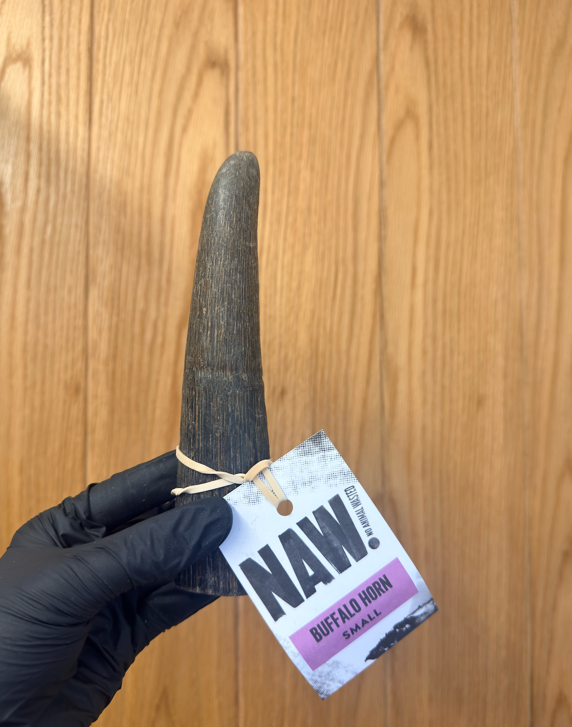 2 x NAW Buffalo Horn - Small