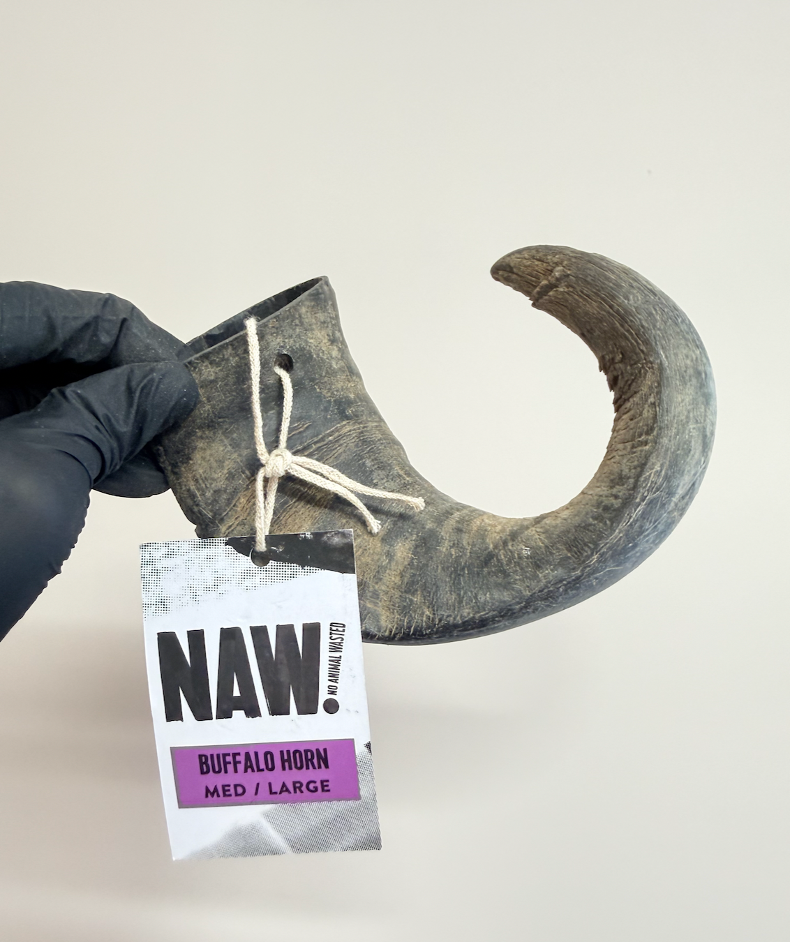 NAW Buffalo Horn - Medium/Large