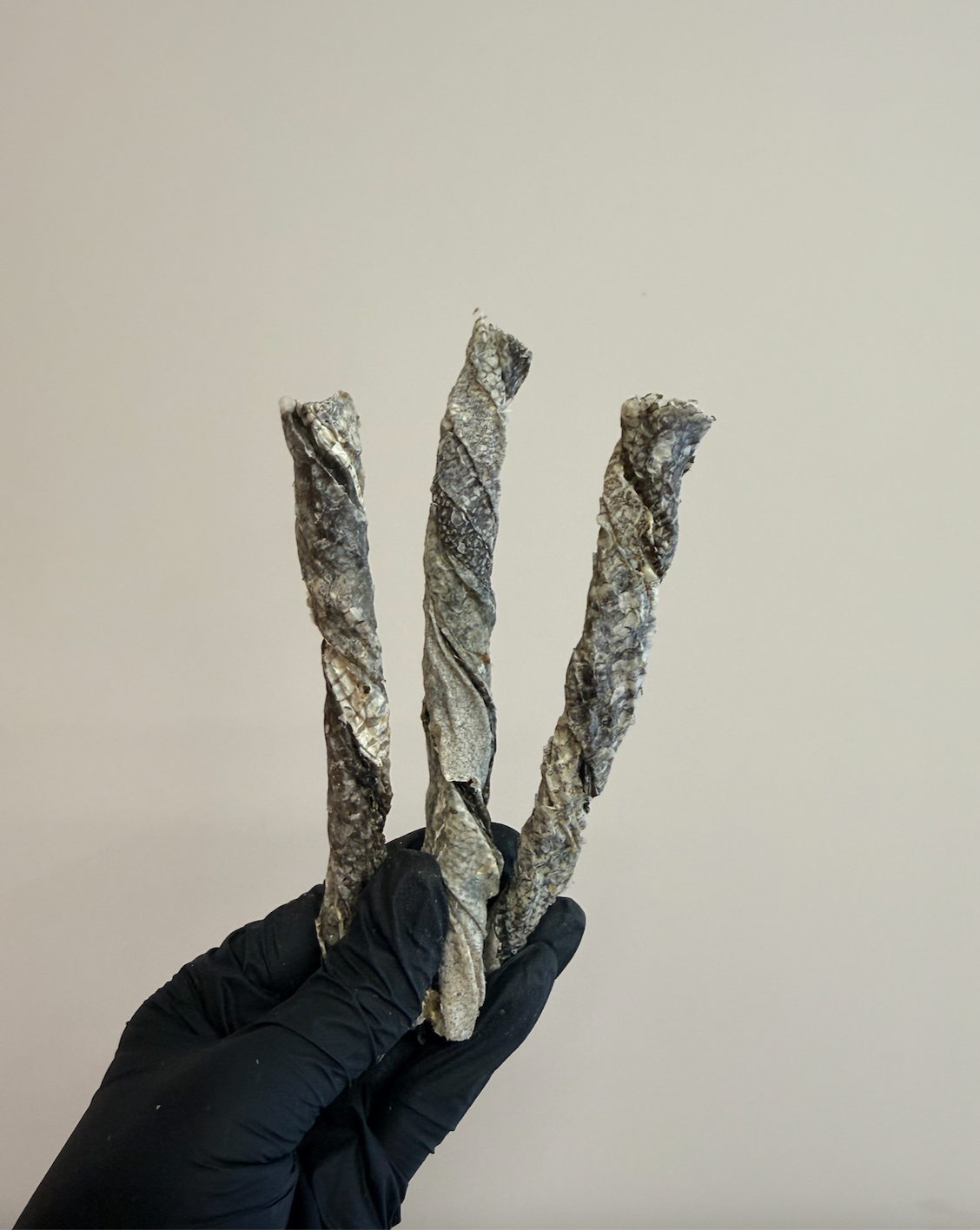 Fish Skin Rolls – Durable, Chewy & Omega-Packed