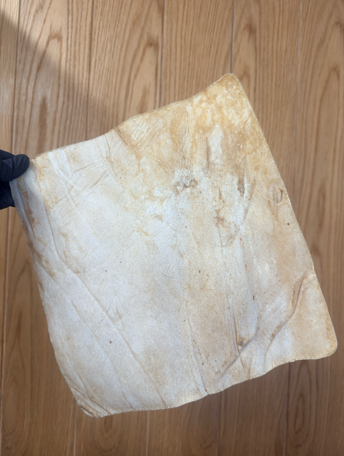 Buffalo Skin Plate - Tough, Tasty and Hypoallergenic