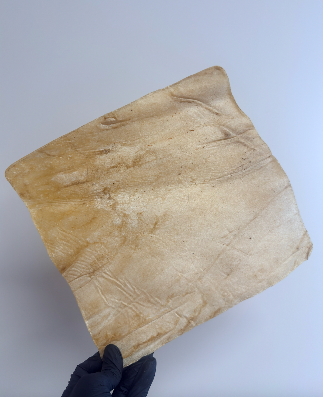 Buffalo Skin Plate - Tough, Tasty and Hypoallergenic