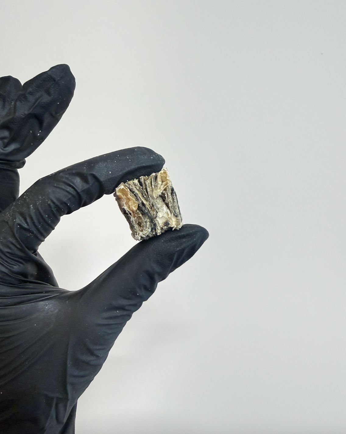 Fish Skin Cubes – Bite-Sized, Crunchy & Omega-Rich Training Treats